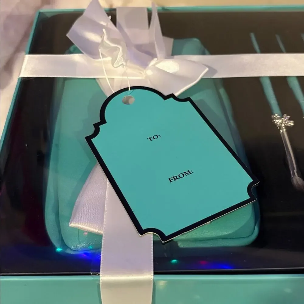 BNWT TIFFANY BLUE Viral Teal Rhinestone Bow Makeup Brush and Case Gift Set